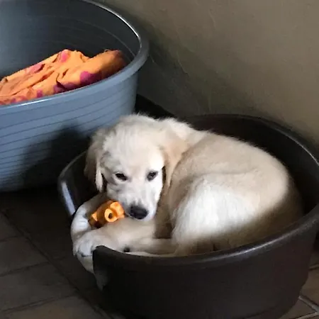 Demeure D'hotes Les Irisynes 3*