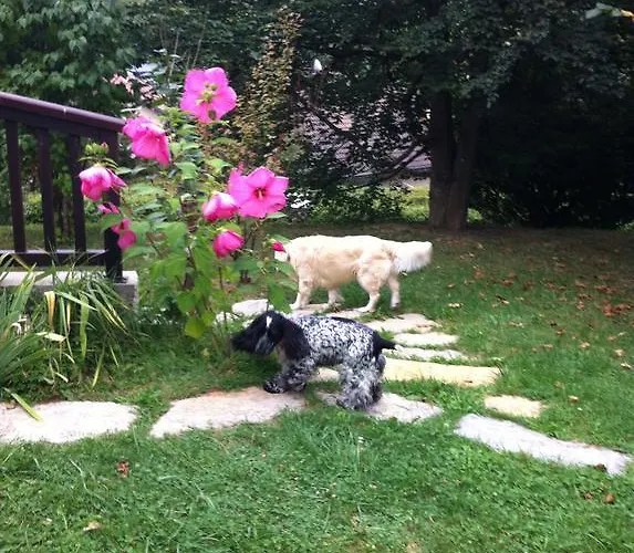 Bed & Breakfast Demeure D'hotes Les Irisynes
