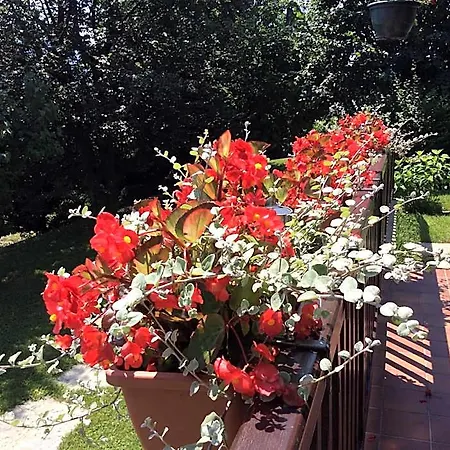 Demeure D'hotes Les Irisynes 3* Viviers-du-Lac
