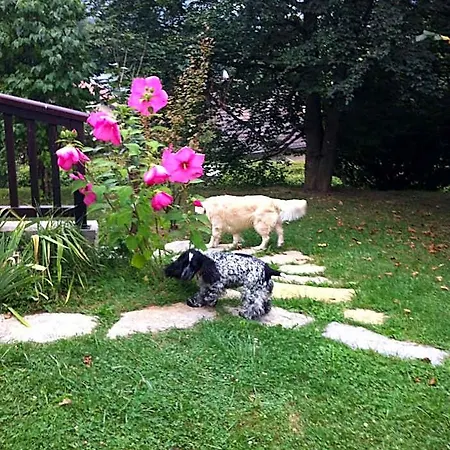 Bed & Breakfast Demeure D'hotes Les Irisynes 3*