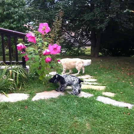 Bed & Breakfast Demeure D'hotes Les Irisynes