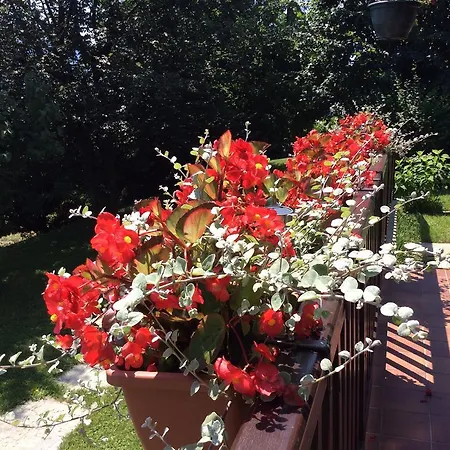 Demeure D'hotes Les Irisynes Bed & Breakfast 3*